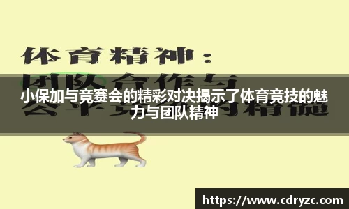星空体育网站入口